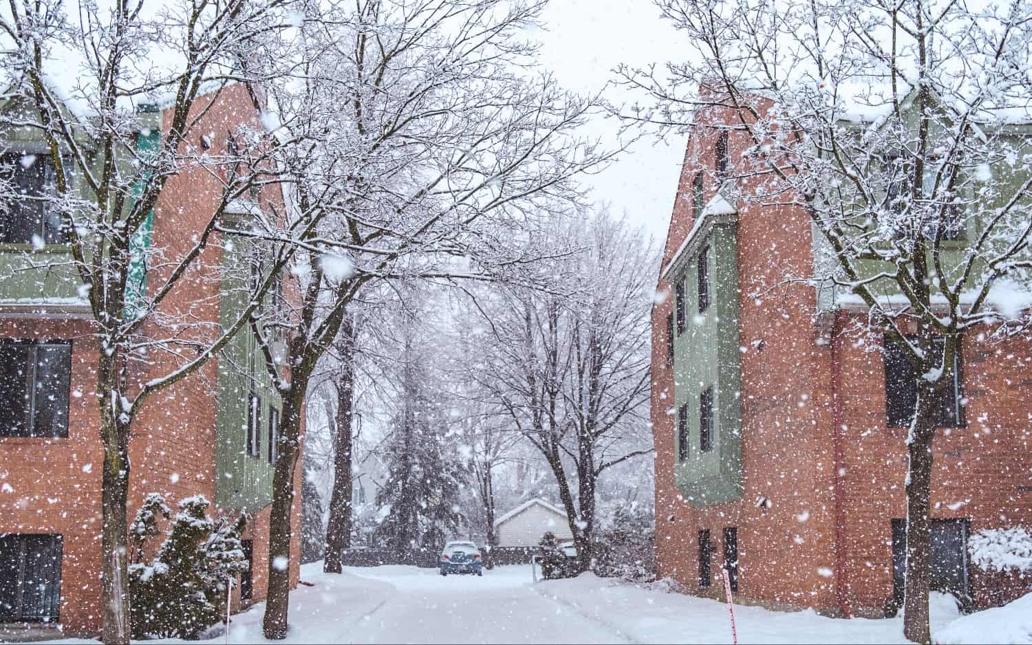 cold quebec_2905 - Météo Québec : froid mordant et flocons pour début juin