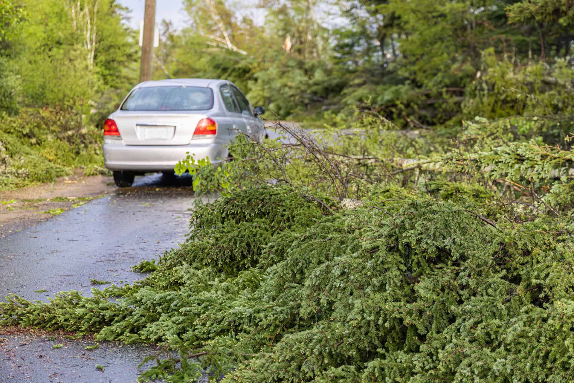 Quebec Hurricane Season_0106 - Météo Québec : début de la saison des ouragans ce dimanche