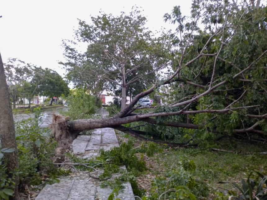 hurricane in mexico_2905 - Weather Alvin: Mexico podría enfrentar el primer huracán de 2025