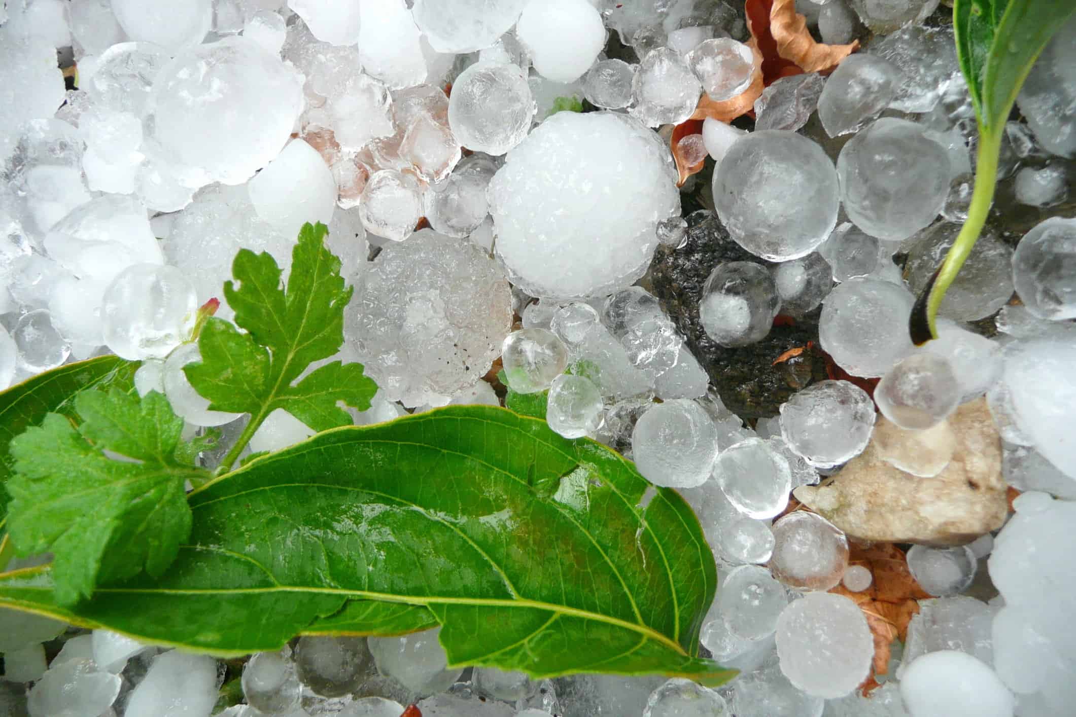 Weather Colorado: egg-sized hail and tornado sweep across state ...