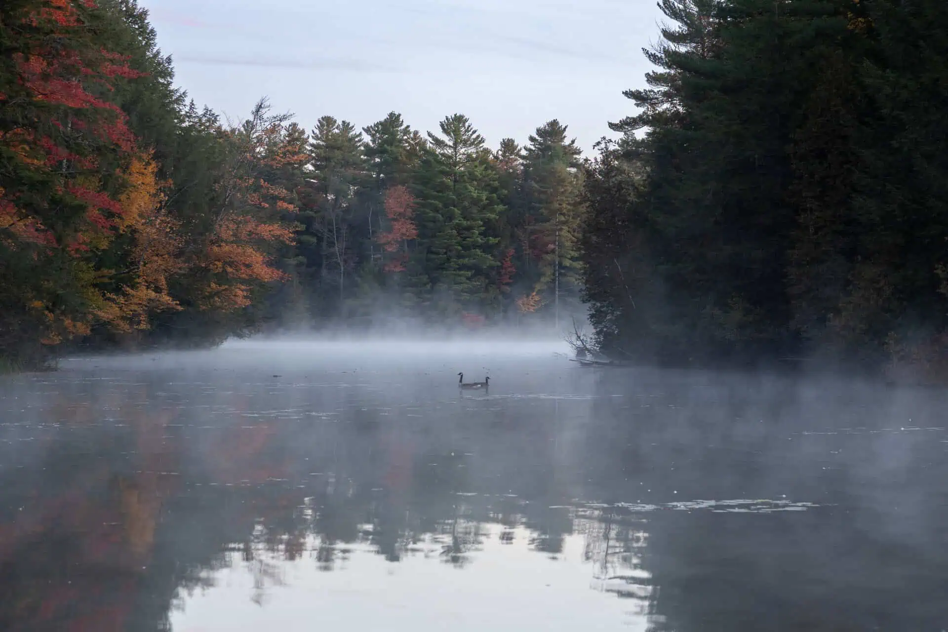 humidity in Quebec-2407